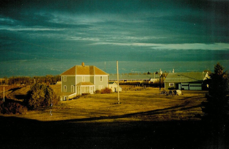 Exterior view of Betty's Hunting Lodge.