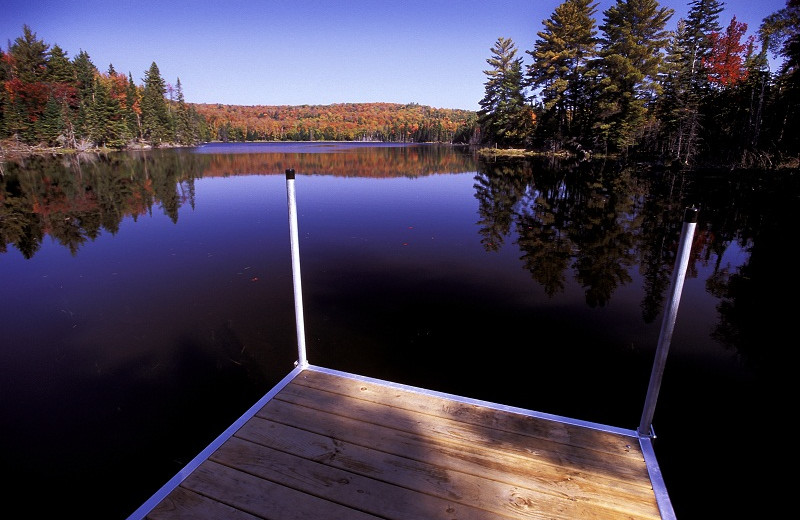 Lake view from dock at Algonquin Eco-Lodge.