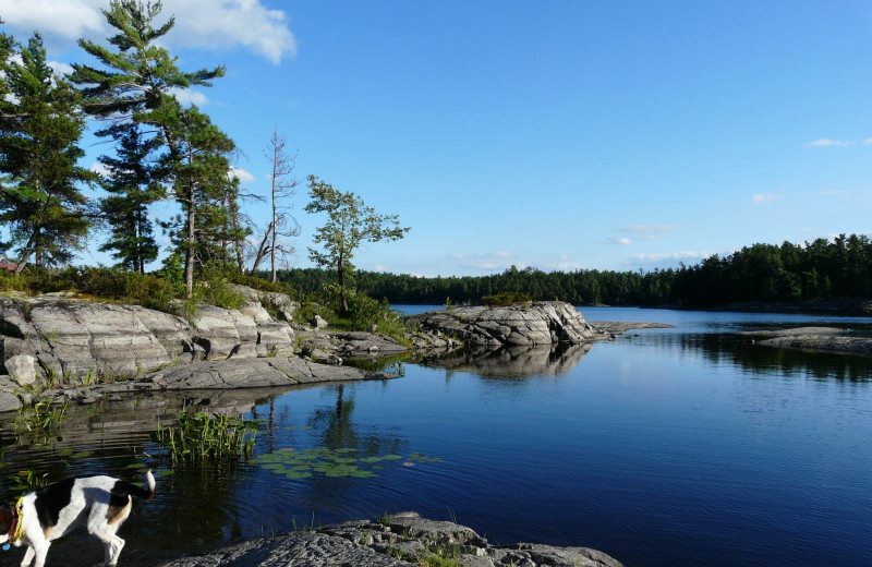Scenic view at Fishing at Wolseley Lodge.