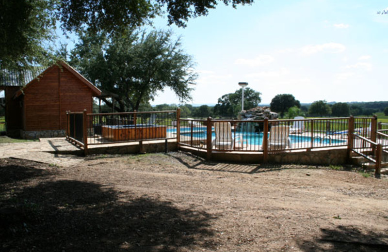 Swimming pool at The Exotic Resort Zoo.