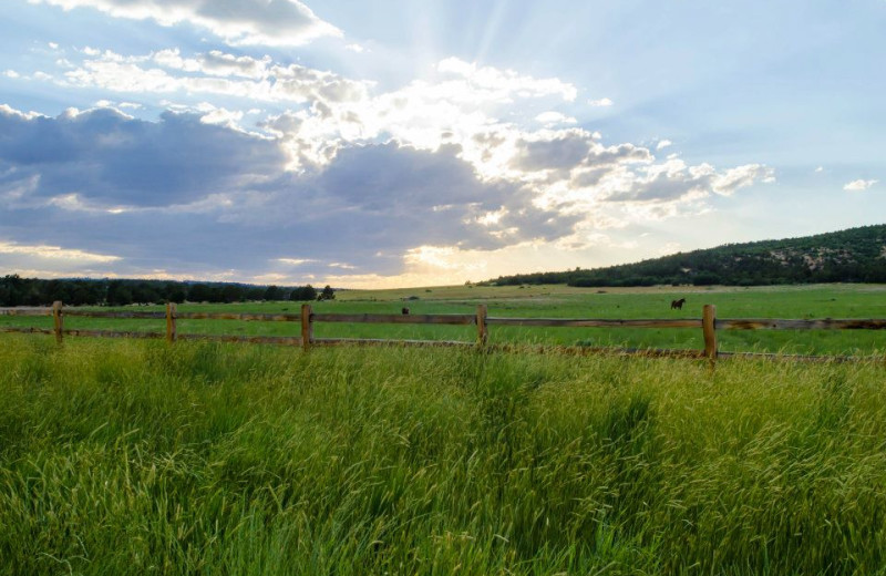 Scenic view at Zion Mountain Ranch.