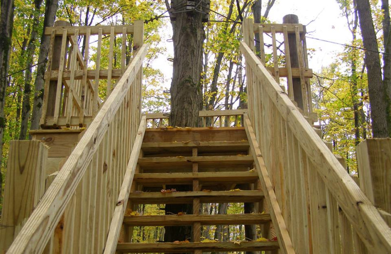 Tree house at The Woods At Bear Creek Glamping Resort.