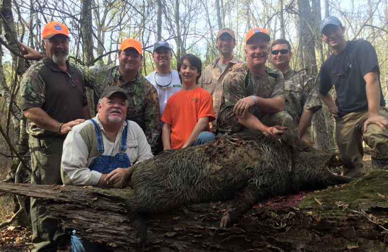 Boar hunting at Enon Plantation.