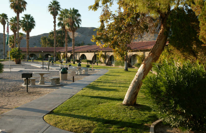 Exterior view of Cottonwood Cove Resort.