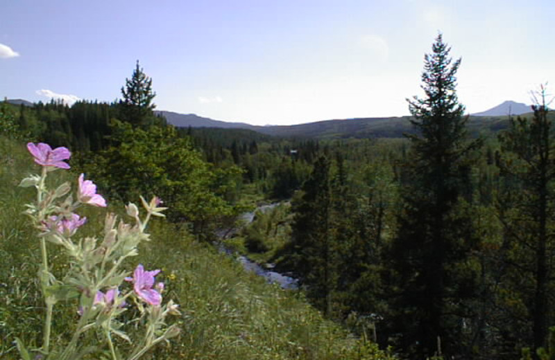 Hiking on Rising Wolf Ranch property.