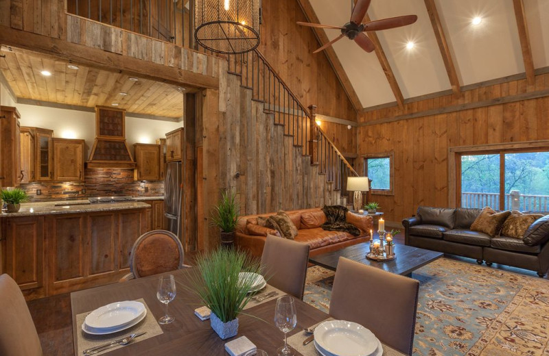 Rental living room at Cabin Rentals of Georgia.