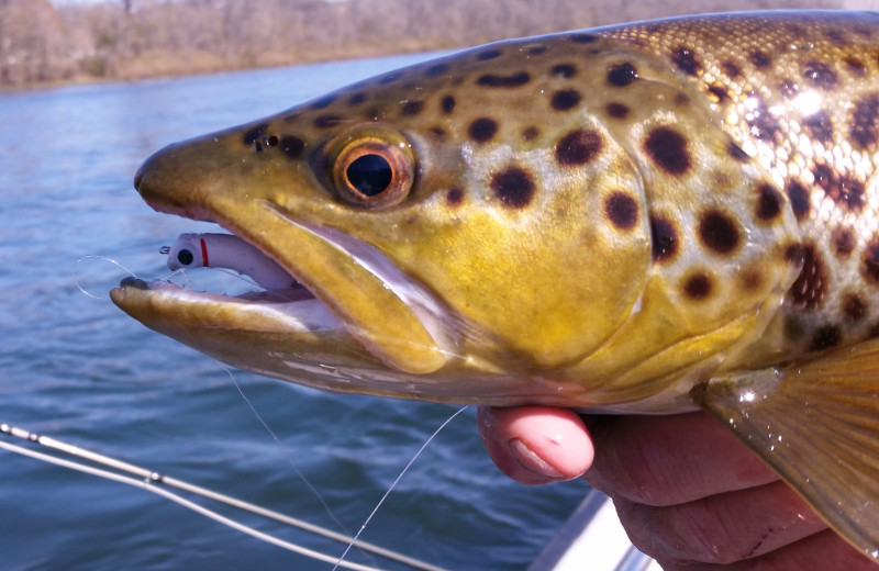 Fishing at Copper John's Resort.