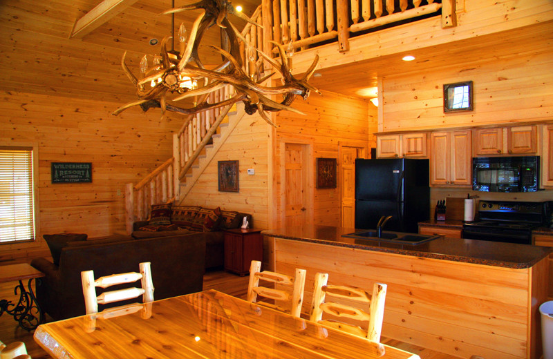 Cabin kitchen at Highland Marina Resort.