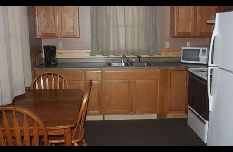 Cabin kitchen at Isle O' Dreams Lodge.