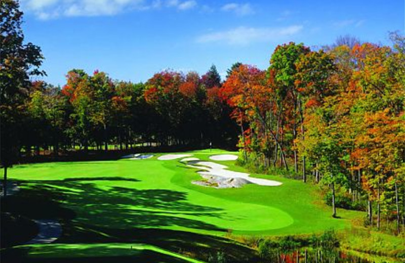 Golf near JW Marriott The Rosseau Muskoka Resort & Spa.