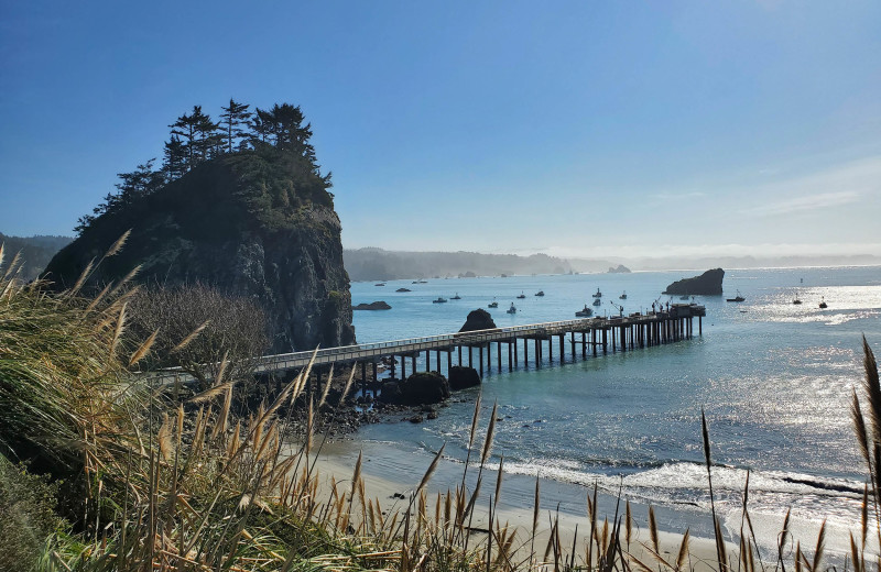 Beach at Shoreline RV Park.