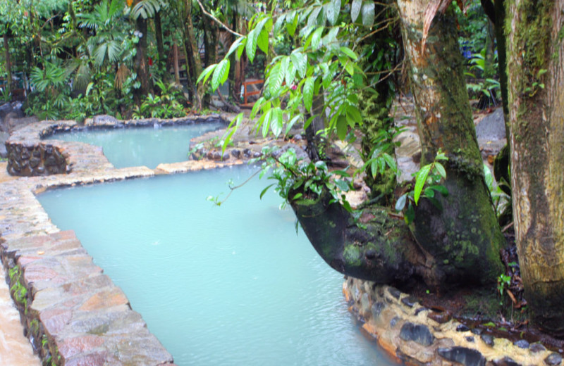 Spa at Pura Vida Spa & Retreat.