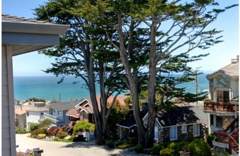 Scenic Coast Property Management (Cambria, CA) Resort Reviews