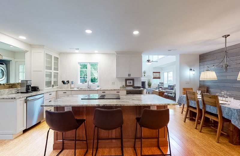 Rental kitchen at Island Realty.