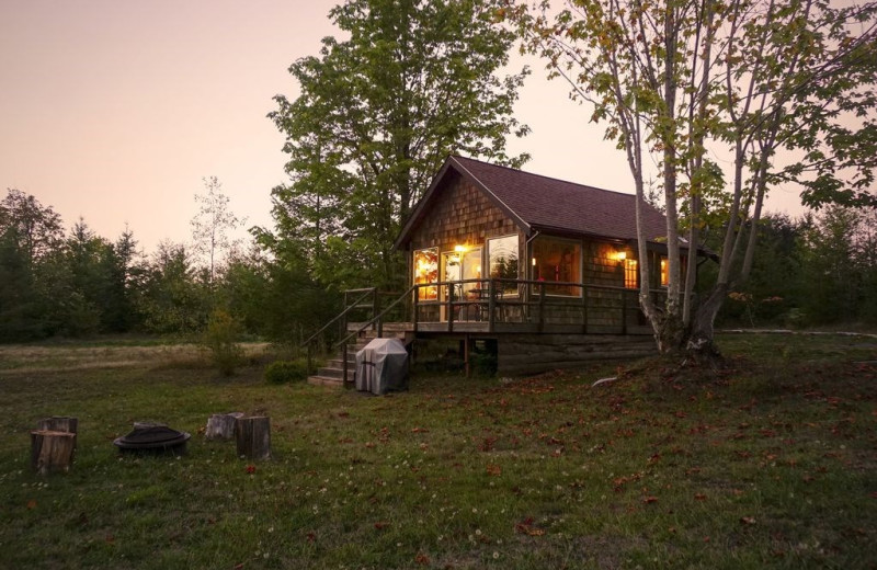 Exterior view of Olympic View Cabins.