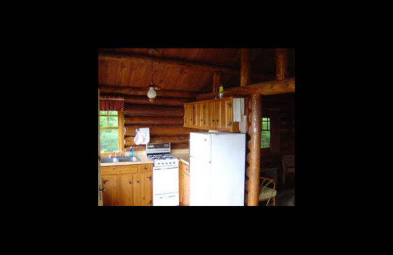 Cabin kitchen at Nelson's Resort.