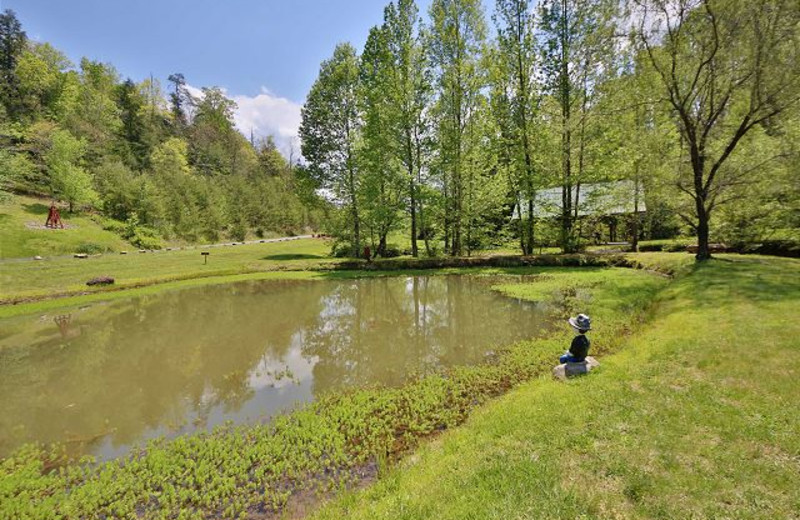 Scenic view at Eden Crest Vacation Rentals, Inc.