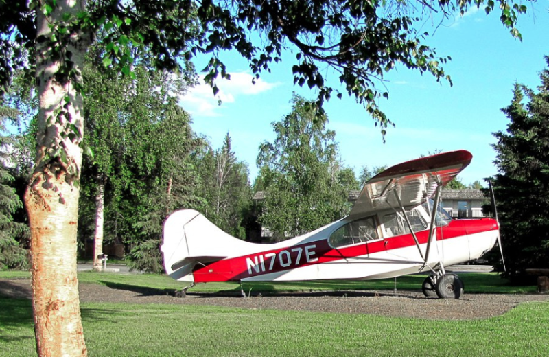 Champ plane at Bear Lodge.