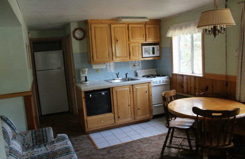 Cabin kitchen at Workshire Lodge.