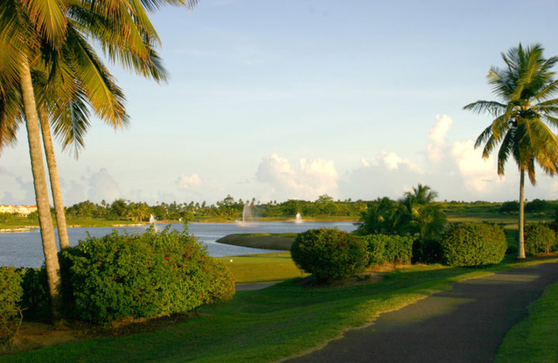 Golf Course at Club Cala de Palmas