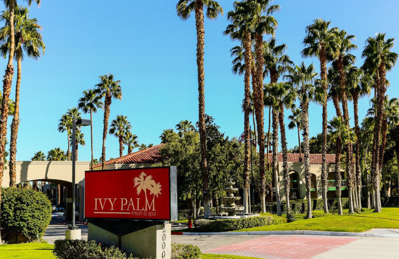 Exterior view of Ivy Palm Resort.