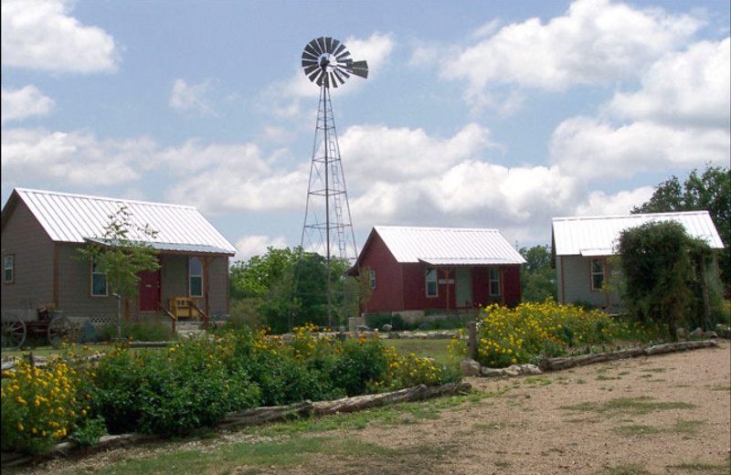 Exterior view of Blanco Settlement.