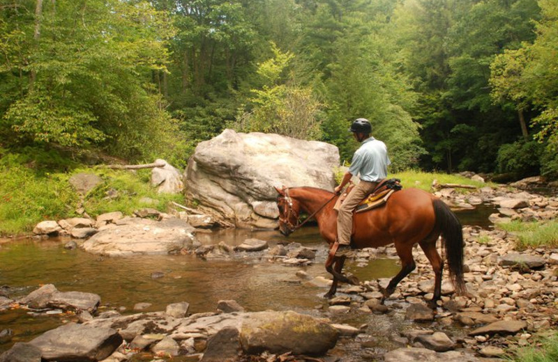 Horseback Riding at The Resort at Glade Springs