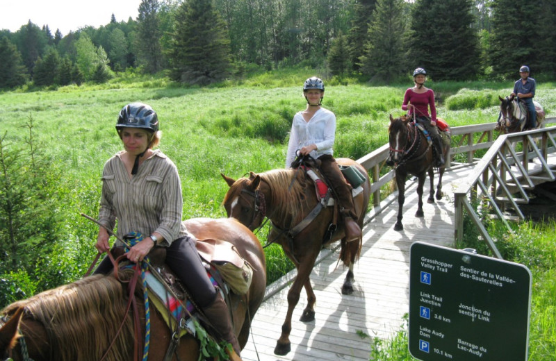 Trail riding on boardwalk at Trailhead Ranch.