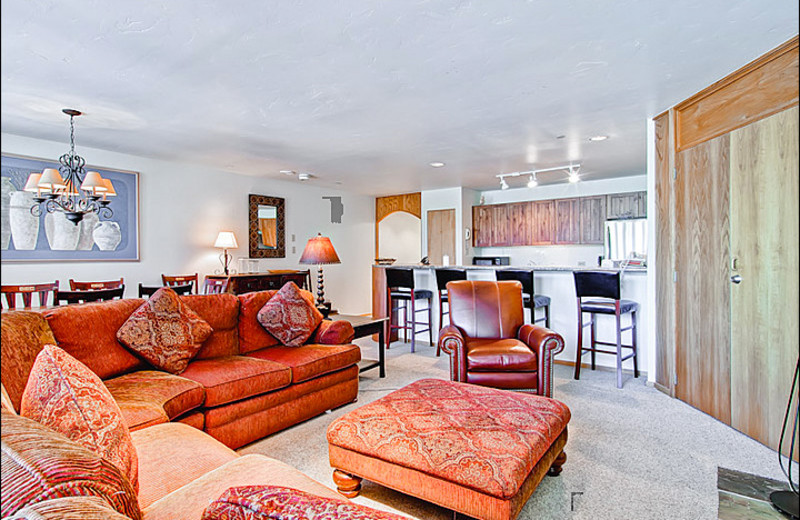 Rental living room at Vail Rentals by Owner.