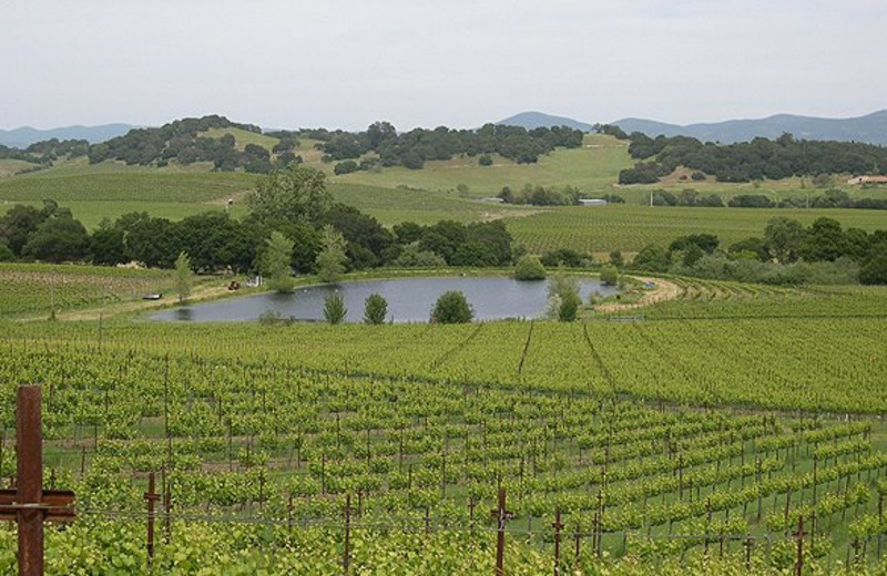 Winery at Shady Oaks Country Inn.