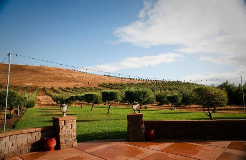 View from The Purple Orchid Resort & Spa.