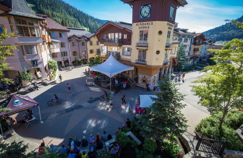 Exterior view of Bear Country Property Management Ltd.