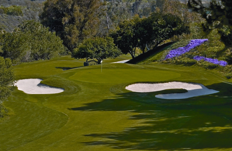 Golf course at Pala Mesa Resort.