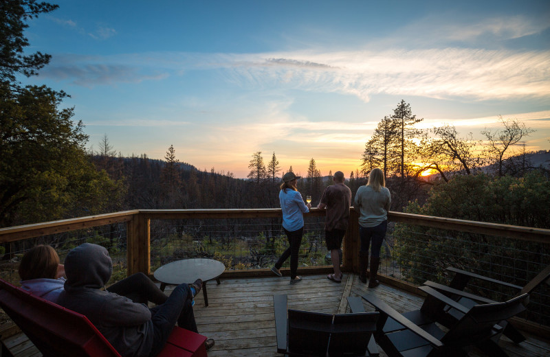 View from Evergreen Lodge Yosemite.