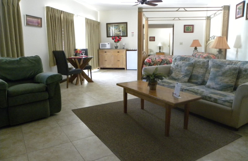 Guest room at Rock Reef Resort.