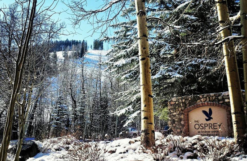 Ski hill at The Osprey at Beaver Creek, A Rock Resort.