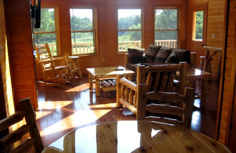 Beautiful view of the meadow and Cedar River with a gas fireplace, large deck and gas grill.