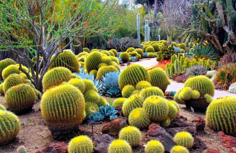 Botanical garden near Padzu Vacation Homes - Scottdale.