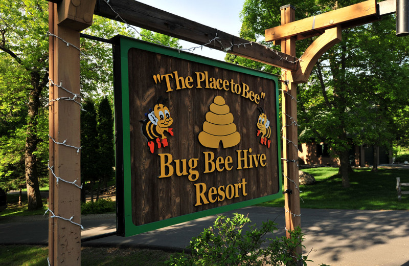 Welcome to Bug-Bee Hive Resort.