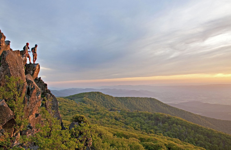 Mountains at The Alcove at Luray.