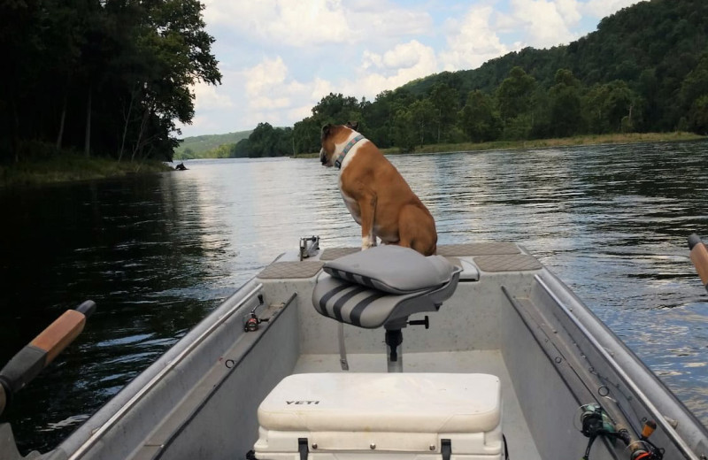 Pets welcome at Copper John's Resort.