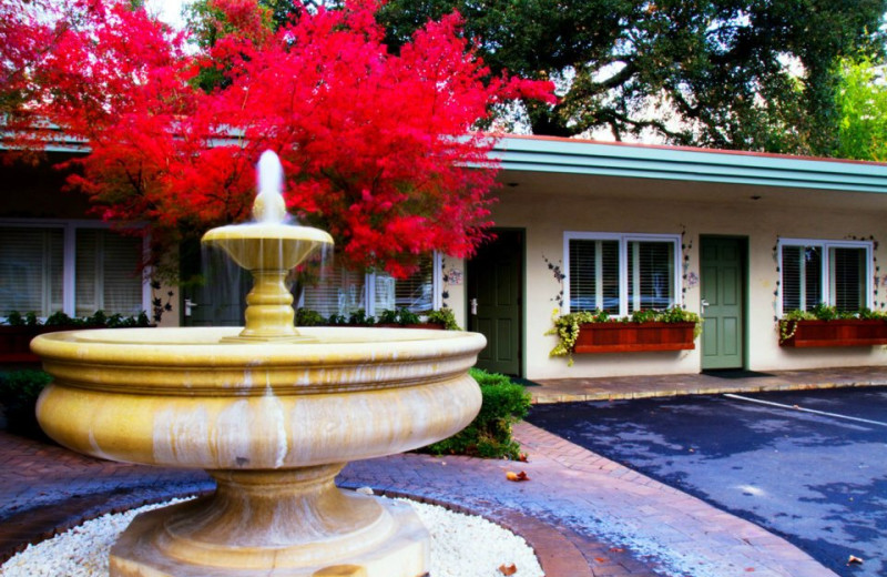 Exterior View of El Bonita Motel