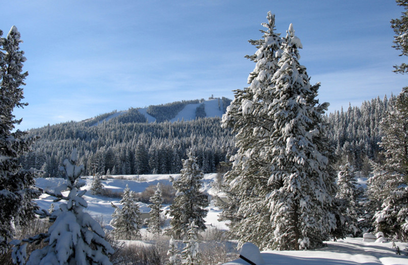 Mountain view at Access Winter Park.