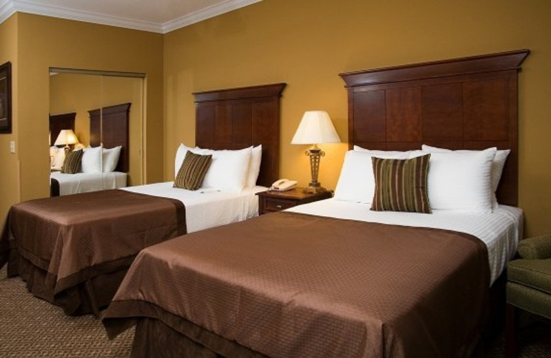 Guest room at Mountain Lodge & Conference.