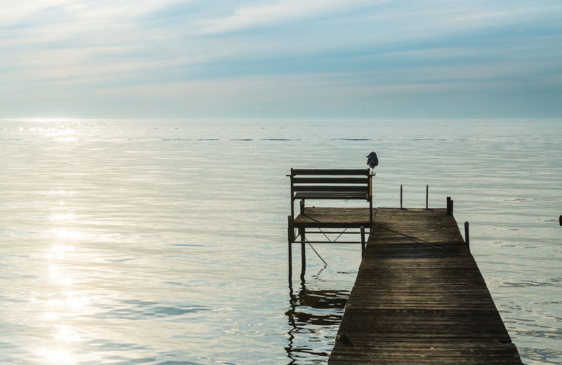 Dock at The Shallows Resort.