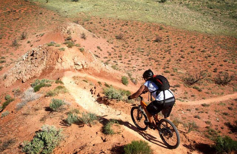 Biking at Hilton Tucson El Conquistador Golf & Tennis Resort.