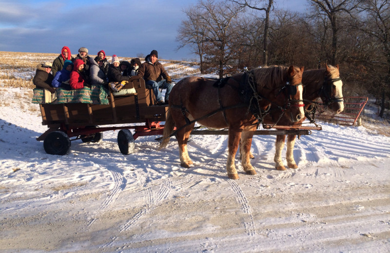 Sleigh ride at Stone Mill Hotel and Suites.