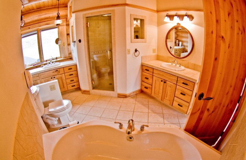 Rental bathroom at Watchdog Property Management LLC.