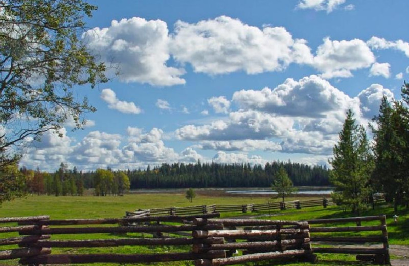 Beautiful Views at Siwash Lake Ranch