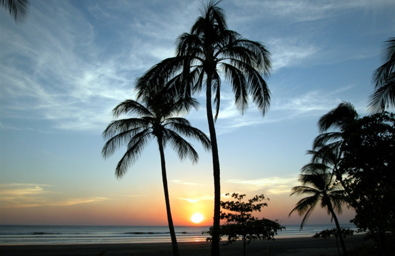 The beach at El Cordova Hotel.